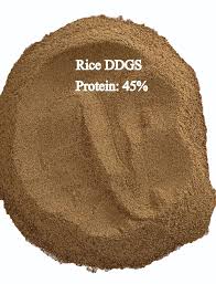 Rice DDGS